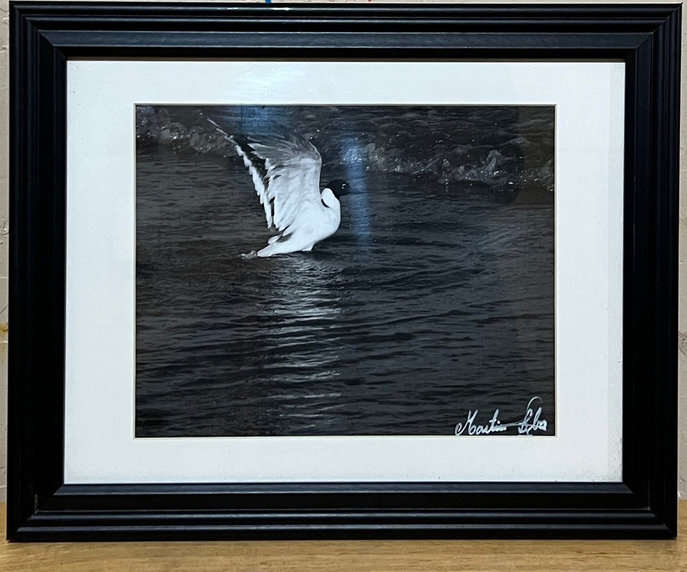 Black and white photograph signed framed 12 x 15 inch bird pond country farm