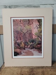 «Co-Op Creek» by Rick Preston 1988 #3, matted and signed,NO FRAME.