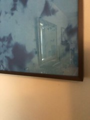 Tom Fels cyanotype Chirstie’s auction photographer Atkins style