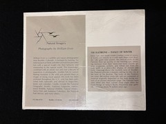 Vtg Natural Imagery «The Flatirons-Dance of Winter» Photo William Ervin Signed