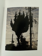 🎈SIGNED Daido Moriyama – Color Photograph, 2011, Limited Edition Super RARE!