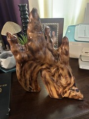 Beautiful Natural Cypress Knee Sculpture