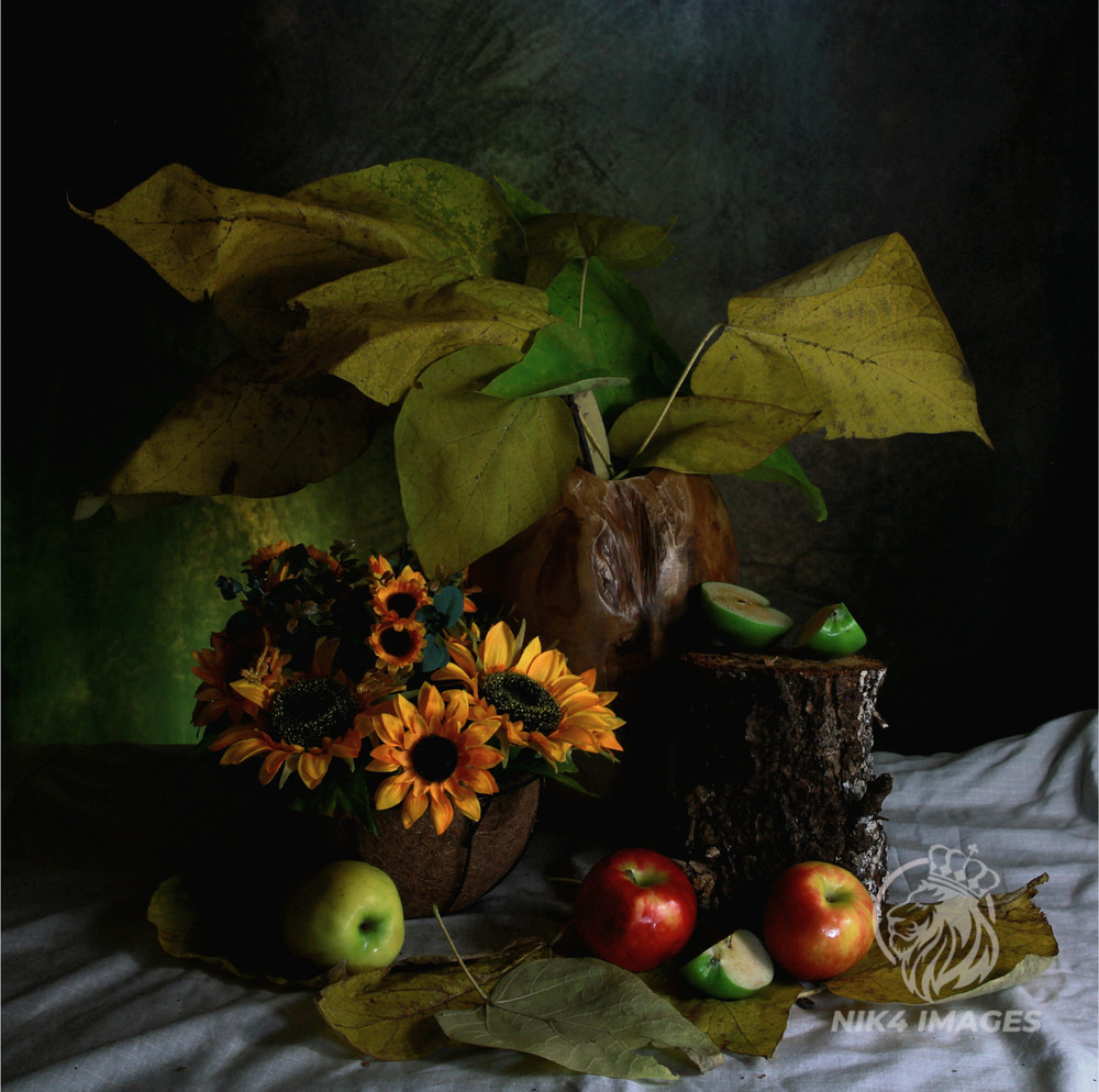 New «Fall Is Here» 24″ x 24″ Framed Photo Art Living Room
