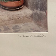 Nancy Ross-Ruddick Original Photograph Signed Matted Purple Pansies Aigle, Switz