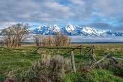 Grand Teton Nation Park Spring of 2022 (15 x 30″ Metal Photo Print)