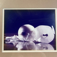 Framed Art Gore Photo Print Onion Gold Frame 16 x 12, image 9 x 7 – Food