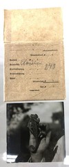 great antique original B/W Photo on Glass Plate – Chameleon – Asia Minor Circa 1910