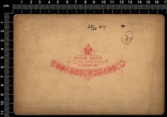 Cabinet-Photo-Weissenfelder-See-Laghi di Fusine-Alois Beer-Klagenfurth-1885-2