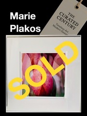 Marie Plakos Abstract Tulip Photograph Modern Botanical Wall Art