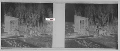 vegetable Garden, Stereoscopic Glass Plate, Black & White Negative 4.5×10.7 Cm