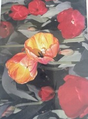 Flowers Photography by: “Muggs” Margolis Framable Art 5 X 7 New