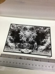 1970’s FINE PHOTOGRAPHY BY JOHN PHILIP DIELE PHOTO GRAPHICS