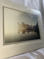 Professionally Matted Photograph ‘Morning Pause’ 15 X 12 New Wrapped May Maine