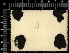 Photo-West Wall-Siegfried-Line-Defence Line-Bunker-Wehrmacht-WW2-175