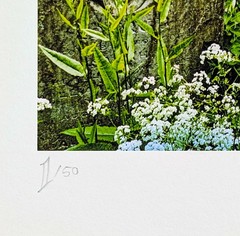 PixelPusher 9×12 Inch Archival Photography Print (Hahnemühle Paper) LD05 Park