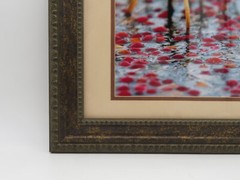 Cranberry Bog Picture Framed and Matted