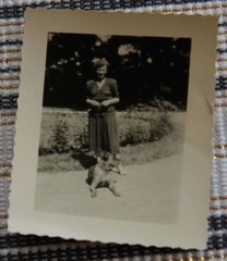 Photo woman pretty sweet dog dog 1953 A2