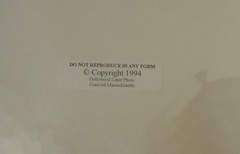 The Old Photo Chest of America 10×7 in Prints Qty 4