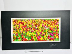 Beautiful Picture of a field of Tulips signed by artist D Hall