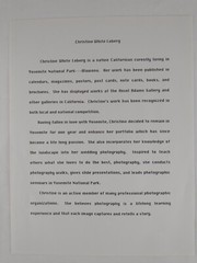 Signed Christine Loberg Dogwood Redwood Tree Photo Print Framed w/ Dedication