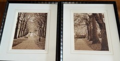 2 Park Walkway In Fall Sepia Black & White Prints Framed Matted You Get Both