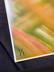 1 of 1 DOUPHU Pineapple Photo SIGNED Print Original Autographed ansel adams art