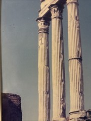 Vintage Roman Forum Castor Pollux Framed Photo Dark Academia Grandmillennial Art