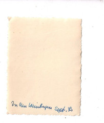 13990- Photo * Lady in the Vineyards * 1943