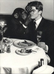 1999 Bruce Weber Male Model With Chimp Dinner Companion Art Photo Gravure
