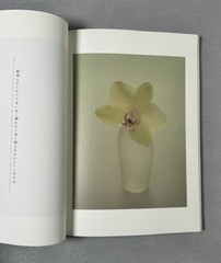 Masami Mori Graceful Flower Still Life Japanese Color Photograph