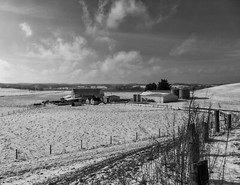 LANDSCAPES 8.5×11 or 13X19 BORDERLESS GLOSSY PRINT (FREE SHIPPING)