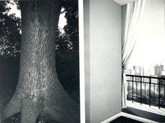 Yoshiko Kamikura Art Announcement Card 1989 “tree / interior”