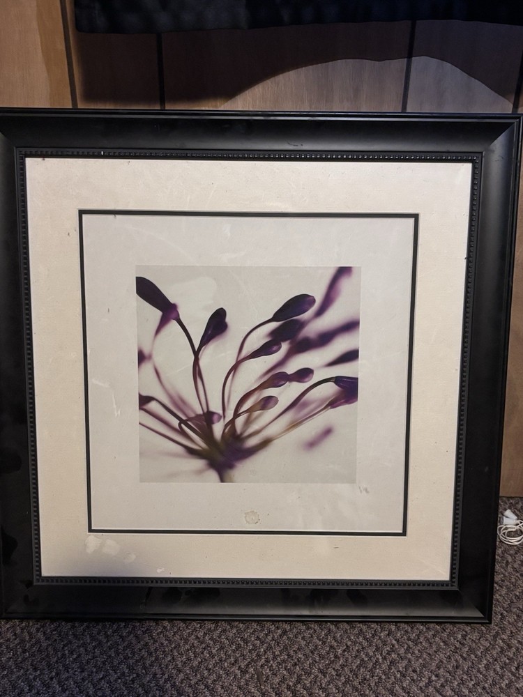 Botanical Flower Minimalism Color Art Photograph Matted & Framed