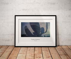 multiple original artwork photography from Argentina and Brazil
