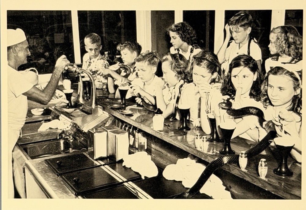 Children’s Snake Club Sarasota, FL 1944 Fotofolio Art Photo Print Card 4.25”x6”