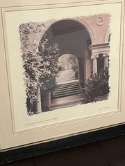 European Garden By Allan Blaustein Photography Framed With Glass 18 1/2 X 18 1/2
