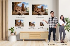 Up Close with History: Balcony House, Mesa Verde National Park Print