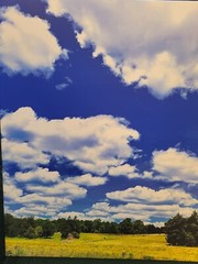 Canvas Photo Clouds Over A Golden Field Haw River, NC 16×20 Ltd Ed Signed