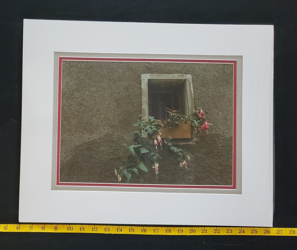Richard Prout Original Signed Photograph «Window With Flowers»