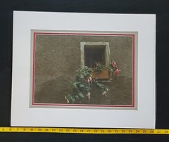 Richard Prout Original Signed Photograph «Window With Flowers»