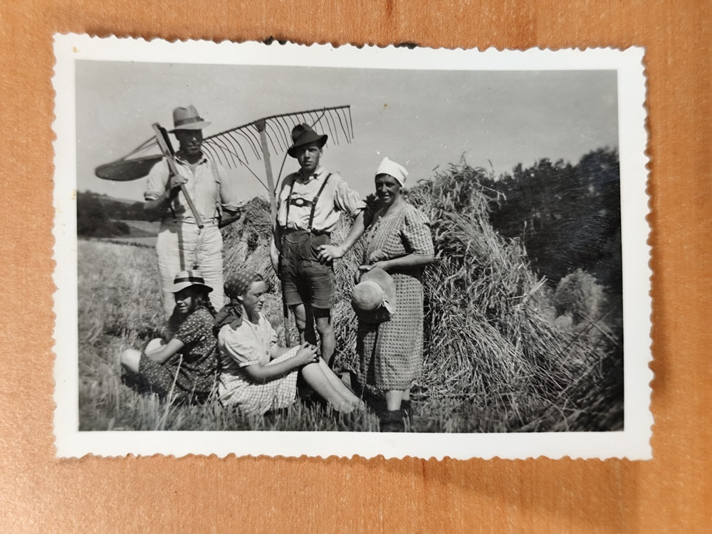 Photo Harvest Hay Harvest Farmer Agriculture Agricultural Equipment FQ