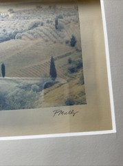 Emulsion Transfer Film Polaroid Art Photo Chianti #1 Patty Mulligan Framed 2006