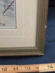 Thomas Mangelsen – Ermine in Trees (Signed 1999) 10×14 Framed