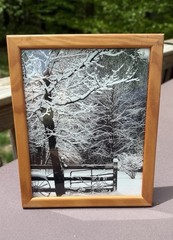 Original photograph, ‘Snow Cover’ by Serene Scenes in Maine, 8 x 10, wood frame