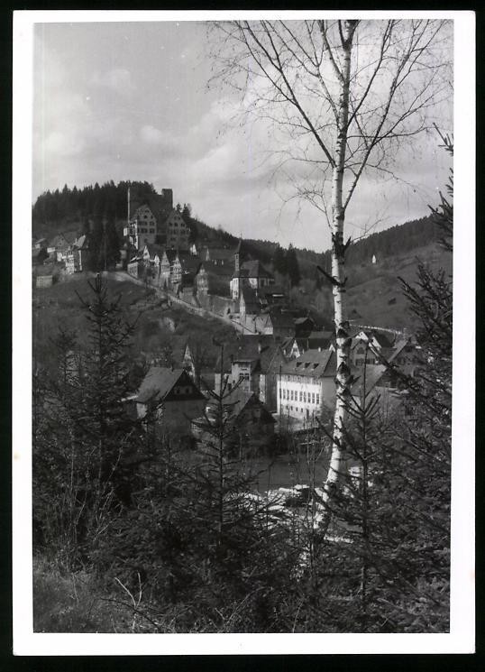 Photograph Berneck / Black Forest, general view with Castle