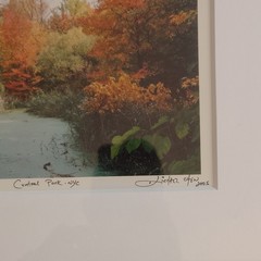Michael Chen Signed Limited Edition Photo Set of 3 Matted & Framed Central Park