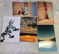 105 Nature Art Photographs 6×4” & 5.25 x4” Vibrant Colorful & 4 Post Cards