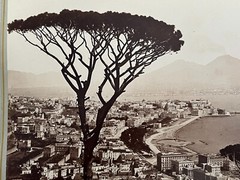 2 Album Photo by Giacomo Brogi circa 1870 Naples Napoli Italy 25x19cm (21+22)