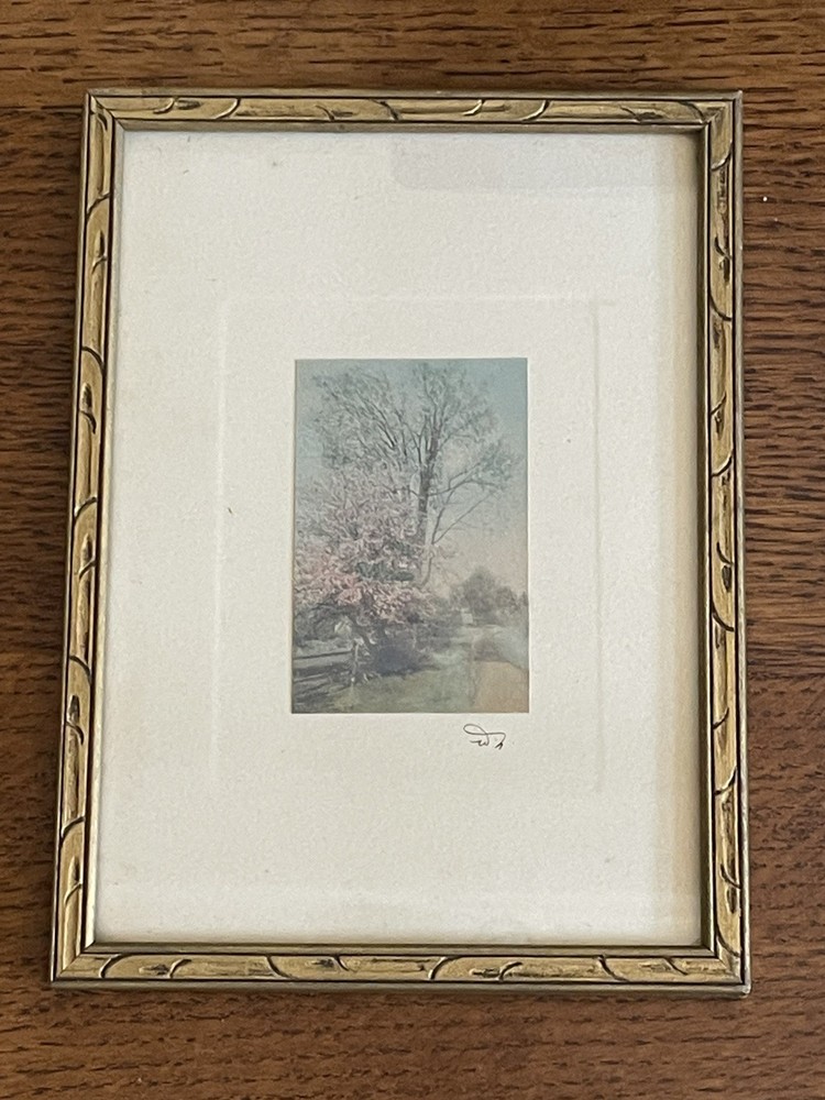 Wallace Nutting Spring Blooming Tree Open Air Signed Hand Colored Photograph