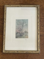 Wallace Nutting Spring Blooming Tree Open Air Signed Hand Colored Photograph